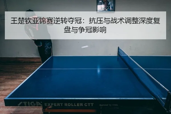 wang-chu-qin-ya-jin-sai-ni-zhuan-duo-guan-kang-ya-yu-zhan-shu-tiao-zheng-shen-du-fu-pan-yu-zheng-guan-ying-xiang-2-355.jpg